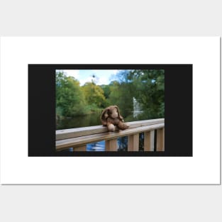 Little bear soft toy sitting on the fence Posters and Art